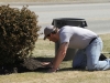 dorso-and-son-2014-spring-cleanups-april-12-mulching-2