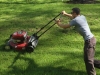 mowing_6